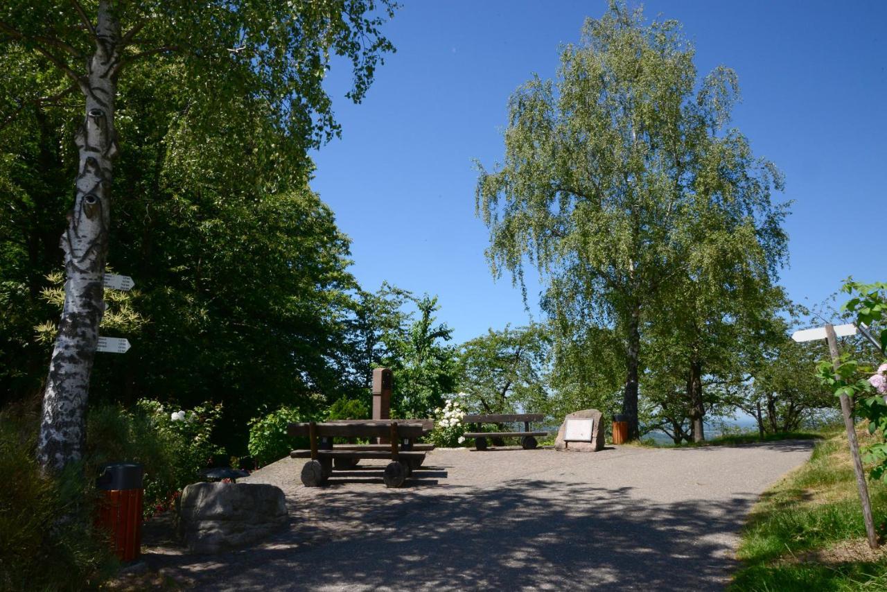 Residence Am Weinberg / Travellers Hotelbetriebs Gmbh Sasbachwalden Dış mekan fotoğraf
