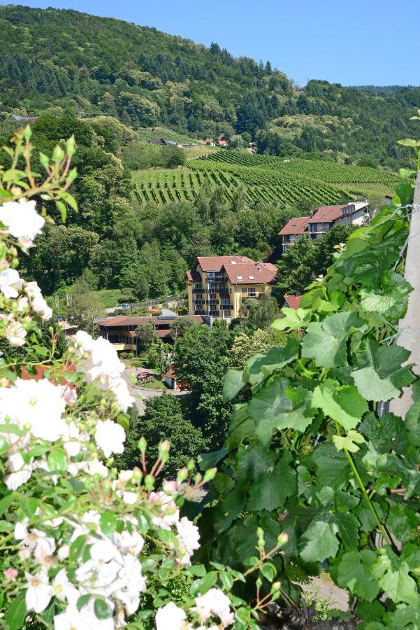 Residence Am Weinberg / Travellers Hotelbetriebs Gmbh Sasbachwalden Dış mekan fotoğraf